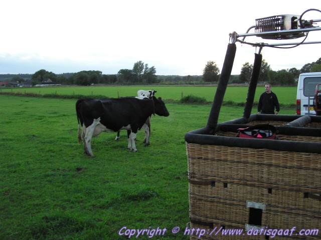 Copyright &copy DatisGaaf.com