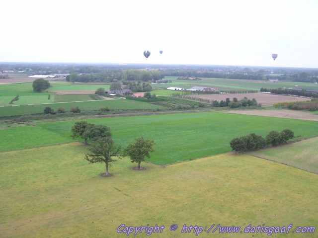 Copyright &copy DatisGaaf.com