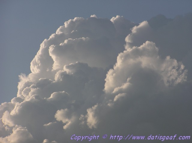 Copyright &copy DatisGaaf.com