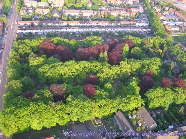 Copyright &copy DatisGaaf.com