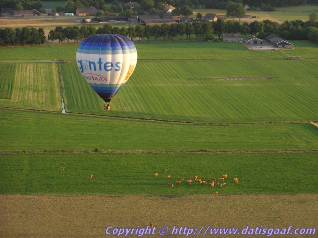 Copyright &copy DatisGaaf.com