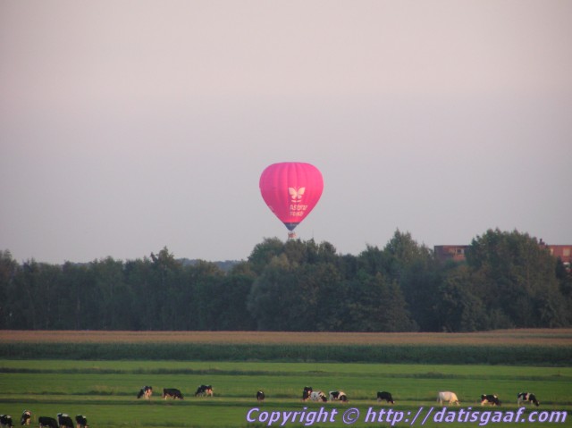 Copyright &copy DatisGaaf.com