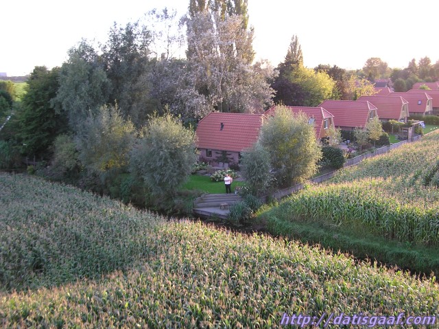 Copyright &copy DatisGaaf.com