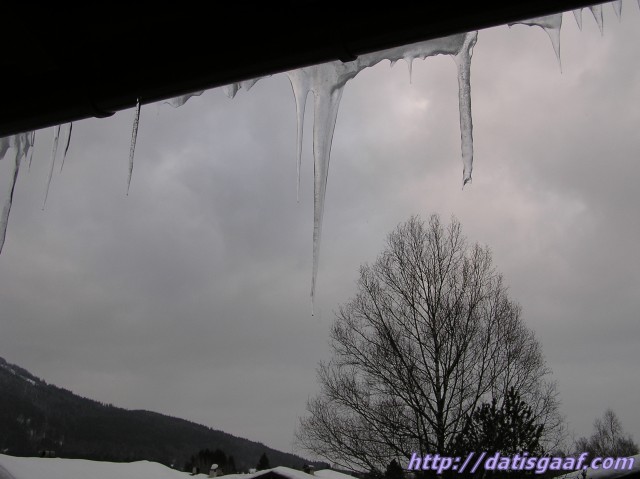 Copyright &copy DatisGaaf.com