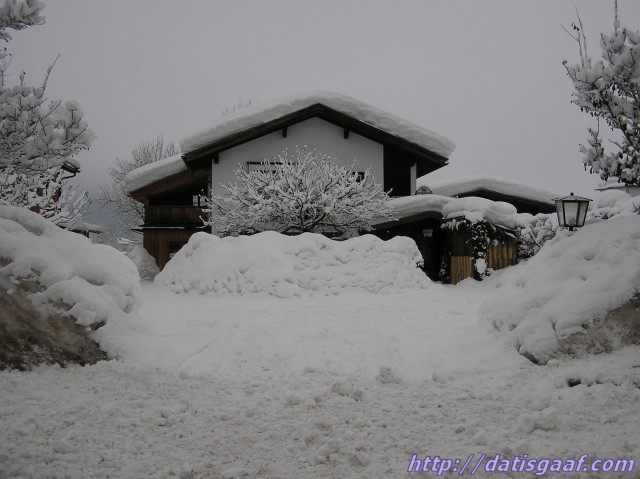 Copyright &copy DatisGaaf.com