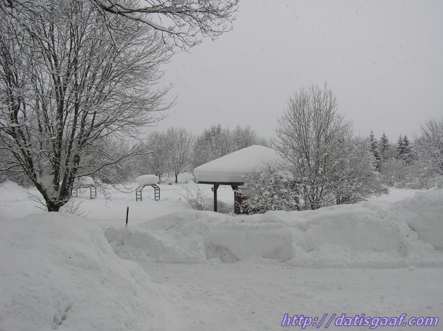 Copyright &copy DatisGaaf.com