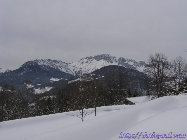 Copyright &copy DatisGaaf.com