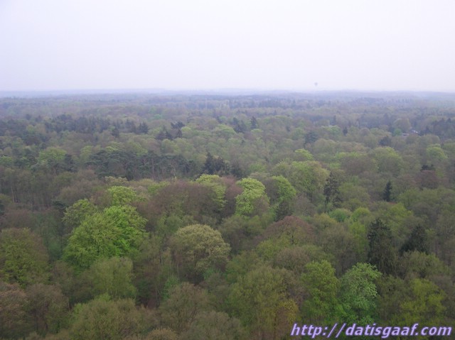 Copyright © DatisGaaf.com