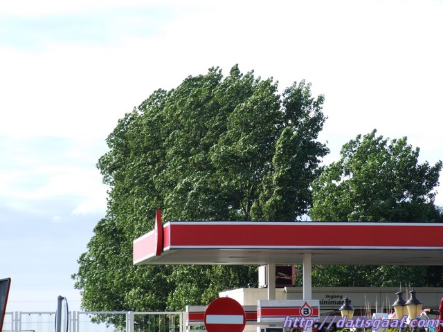 Copyright &copy DatisGaaf.com