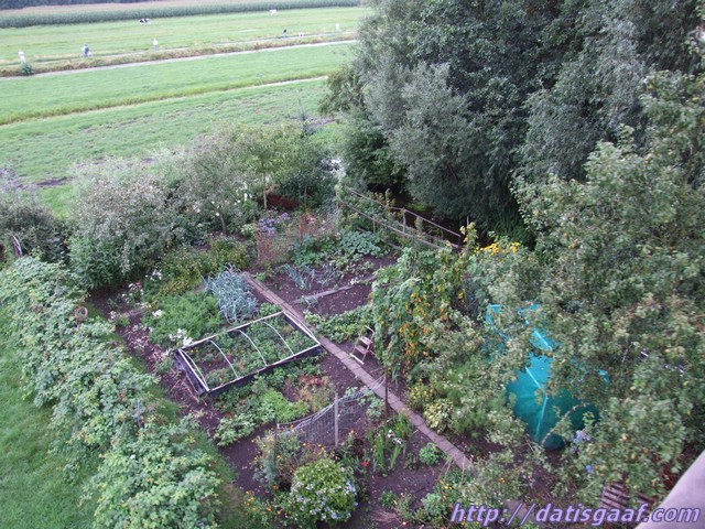 Copyright &copy DatisGaaf.com