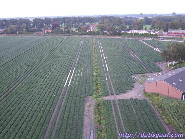 Copyright &copy DatisGaaf.com