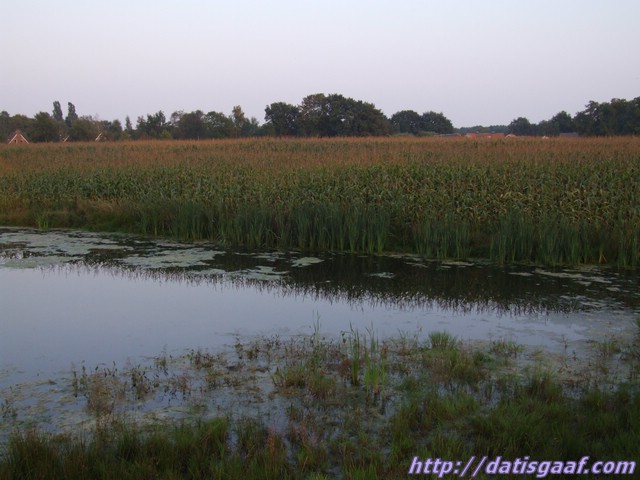 Copyright &copy DatisGaaf.com