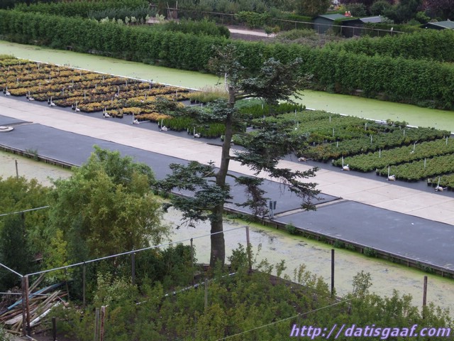 Copyright &copy DatisGaaf.com