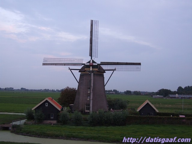 Copyright &copy DatisGaaf.com