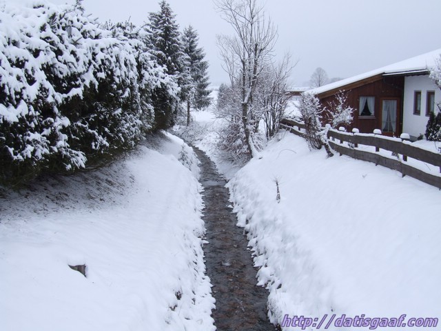 Copyright &copy DatisGaaf.com