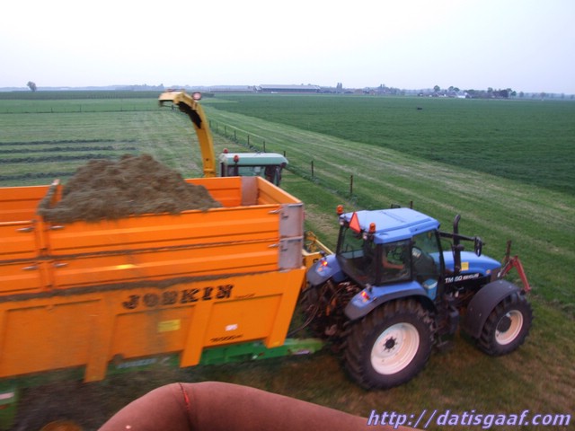 Copyright &copy DatisGaaf.com