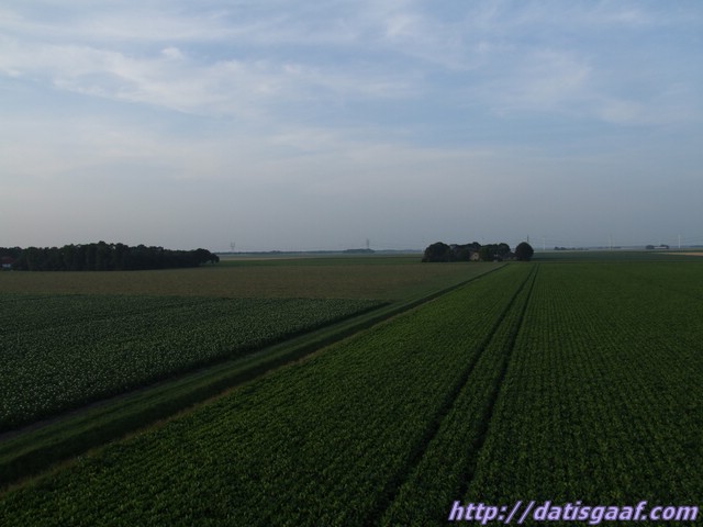 Copyright &copy DatisGaaf.com