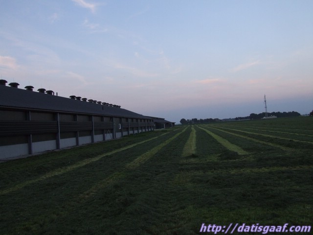 Copyright &copy DatisGaaf.com