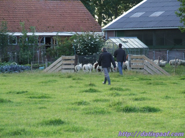 Copyright &copy DatisGaaf.com