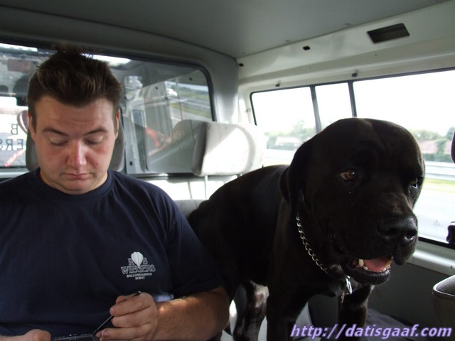 Copyright &copy DatisGaaf.com