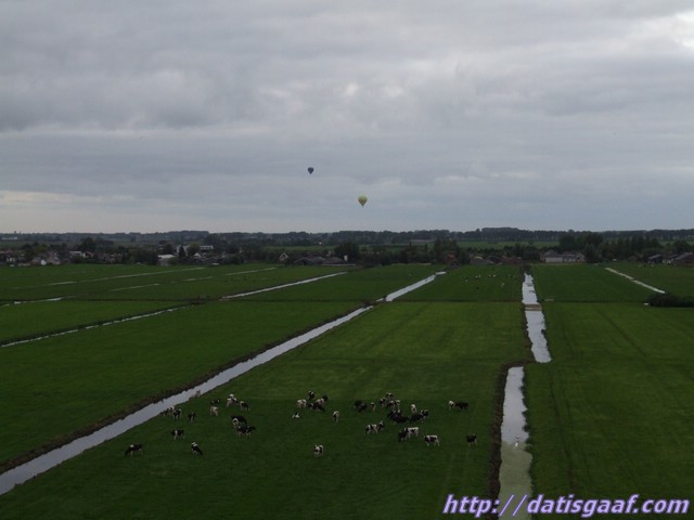 Copyright &copy DatisGaaf.com