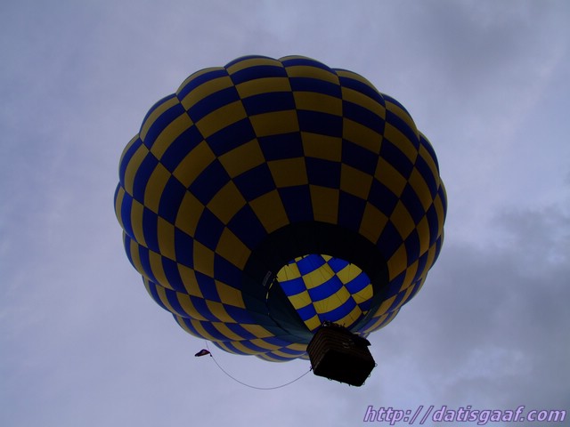 Copyright &copy DatisGaaf.com