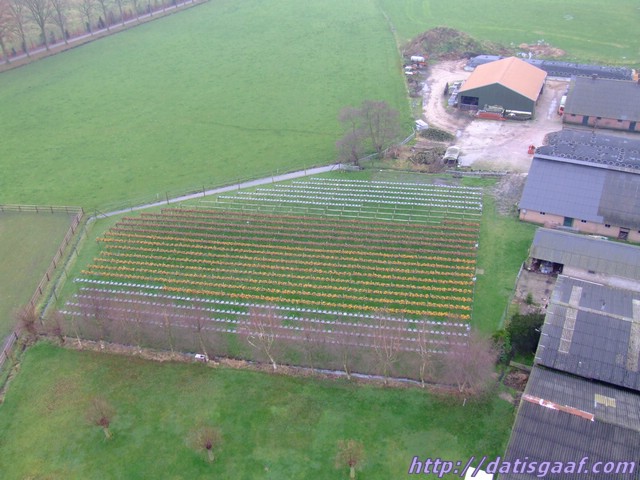 Copyright &copy DatisGaaf.com