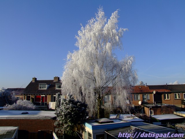 Copyright &copy DatisGaaf.com