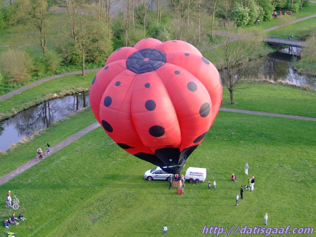 Copyright &copy DatisGaaf.com