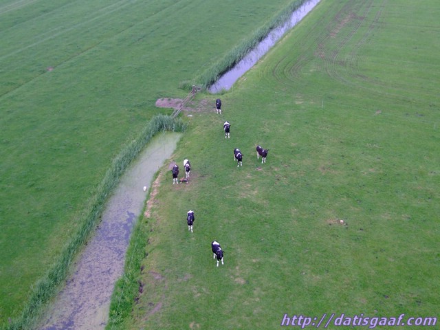 Copyright &copy DatisGaaf.com