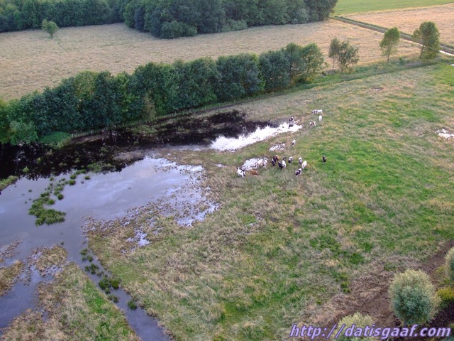 Copyright &copy DatisGaaf.com