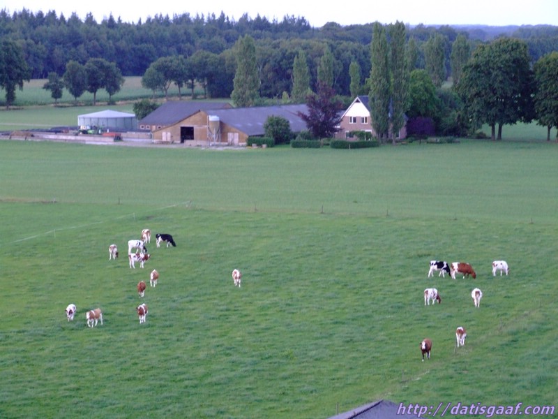 Copyright &copy DatisGaaf.com