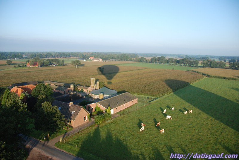 Copyright &copy DatisGaaf.com