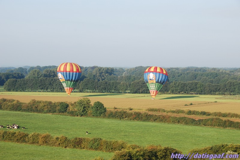 Copyright &copy DatisGaaf.com