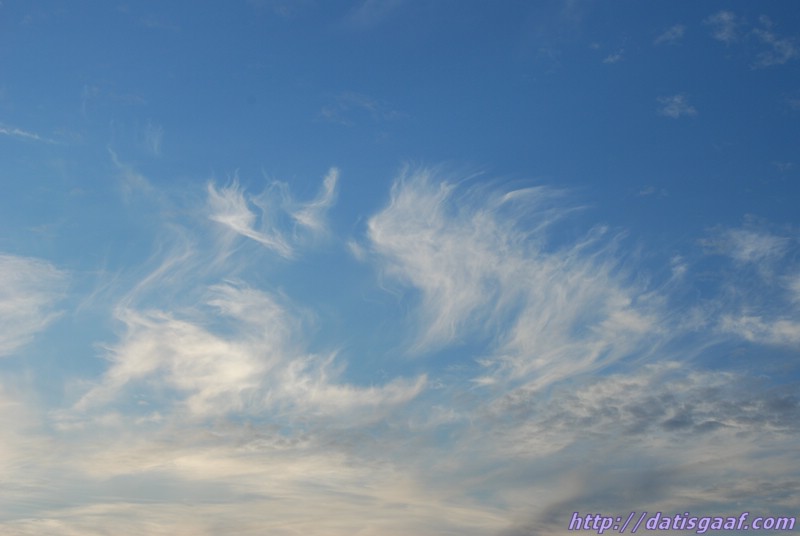 Copyright &copy DatisGaaf.com