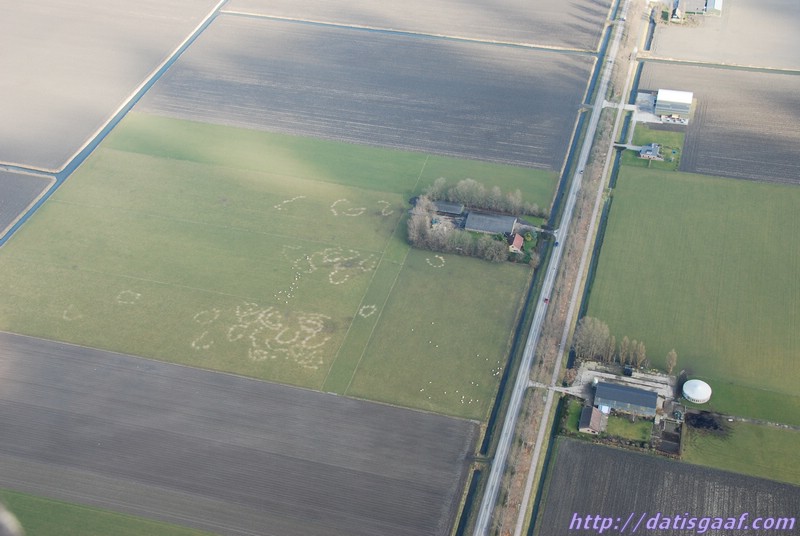 Copyright &copy DatisGaaf.com