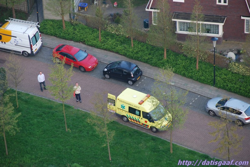 Copyright &copy DatisGaaf.com