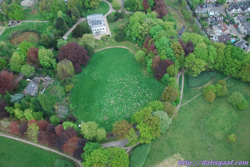 Copyright &copy DatisGaaf.com