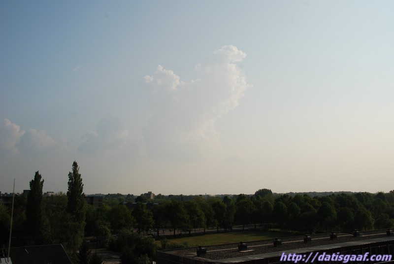 Copyright &copy DatisGaaf.com