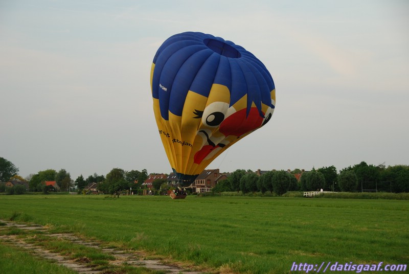 Copyright &copy DatisGaaf.com