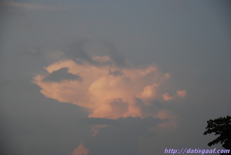 Copyright &copy DatisGaaf.com