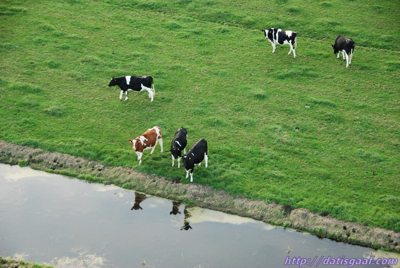 Copyright &copy DatisGaaf.com