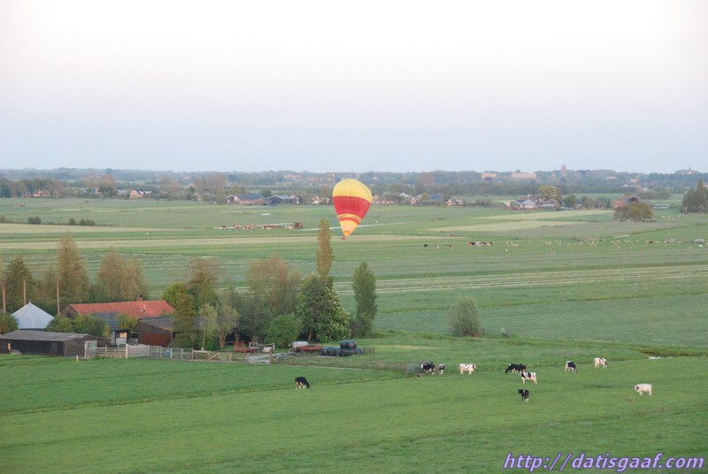 Copyright &copy DatisGaaf.com