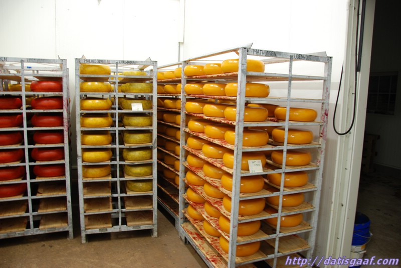 Copyright &copy DatisGaaf.com