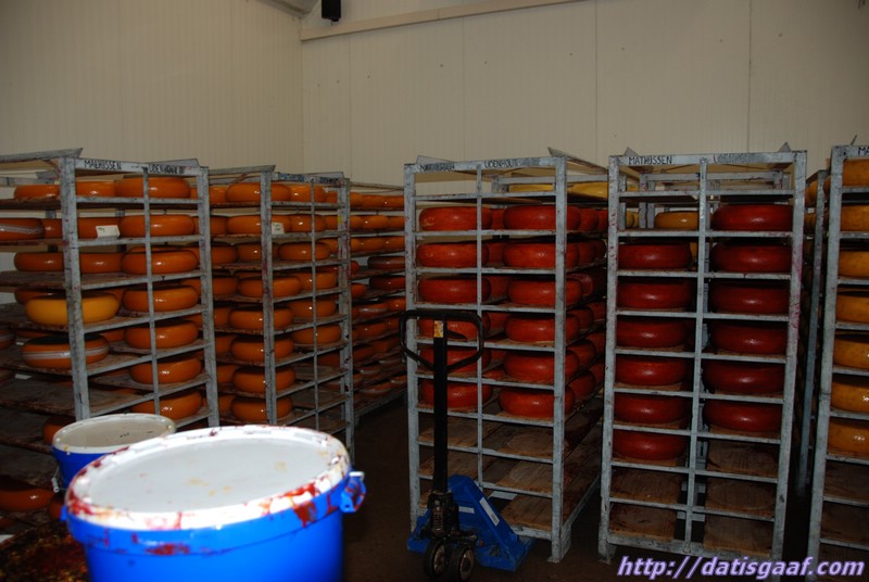 Copyright &copy DatisGaaf.com