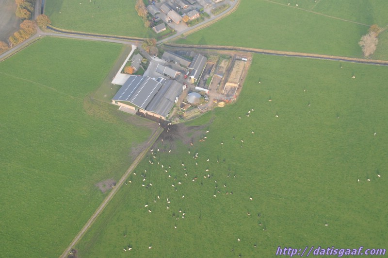 Copyright &copy DatisGaaf.com