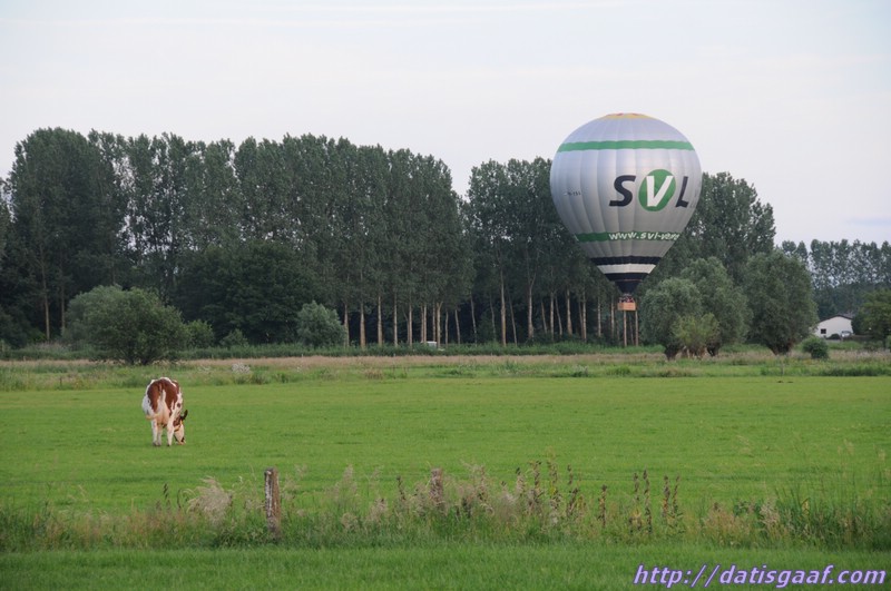 Copyright &copy DatisGaaf.com