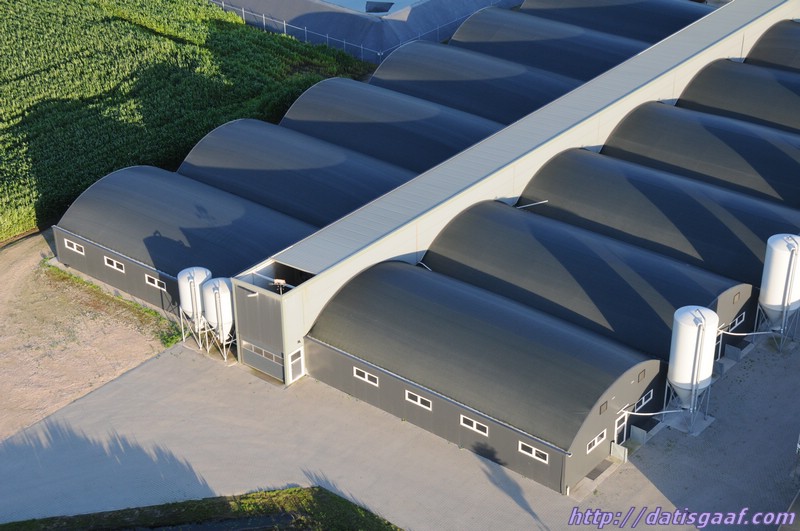 Copyright &copy DatisGaaf.com