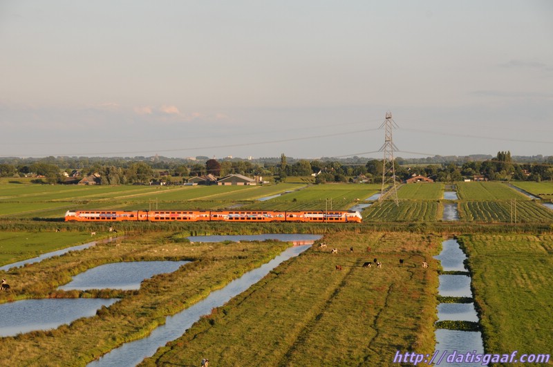 Copyright &copy DatisGaaf.com