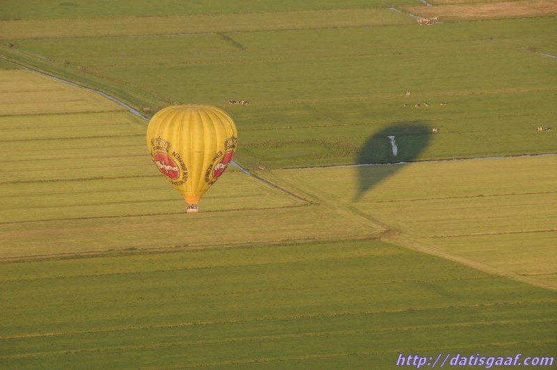 Copyright &copy DatisGaaf.com